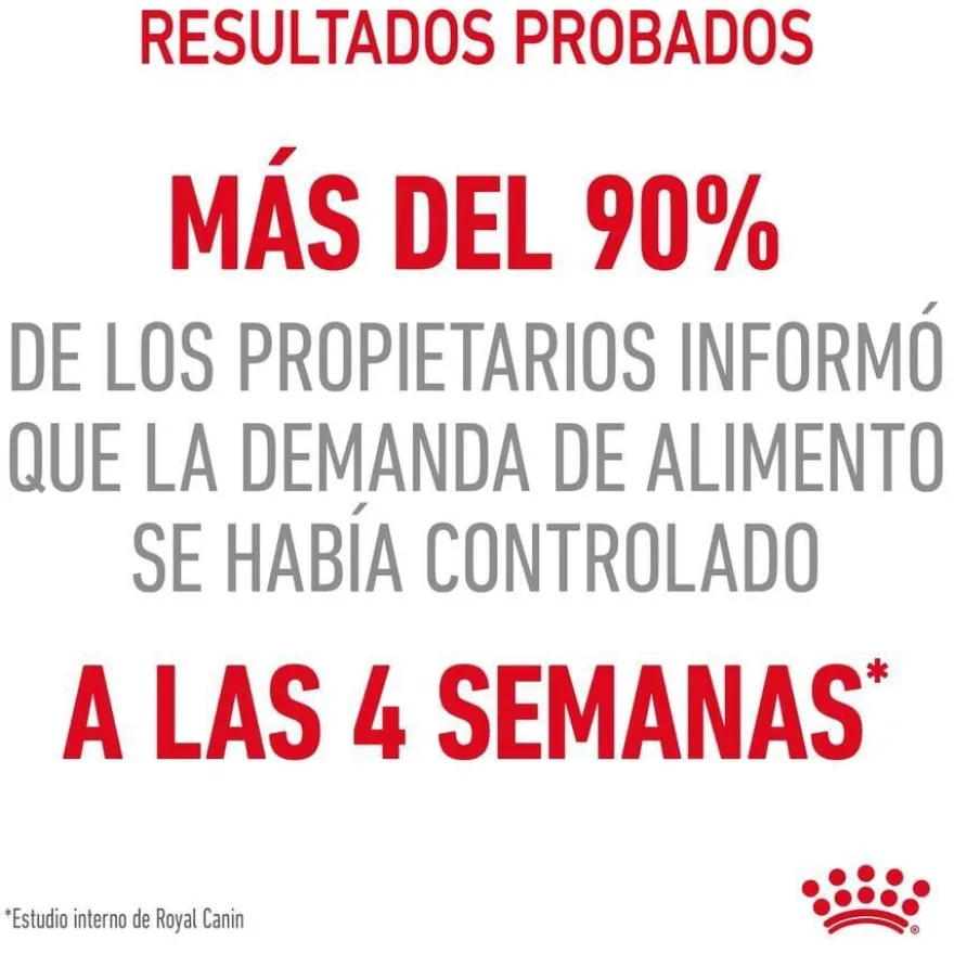 Royal Canin Appetite Control Care molho saqueta para gatos