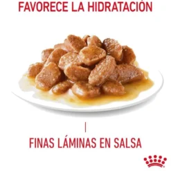 Royal Canin Appetite Control Care molho saqueta para gatos