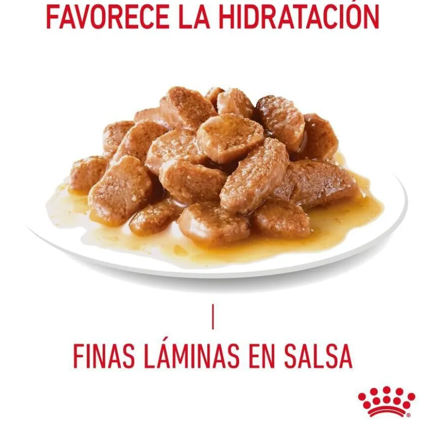 Royal Canin Appetite Control Care molho saqueta para gatos
