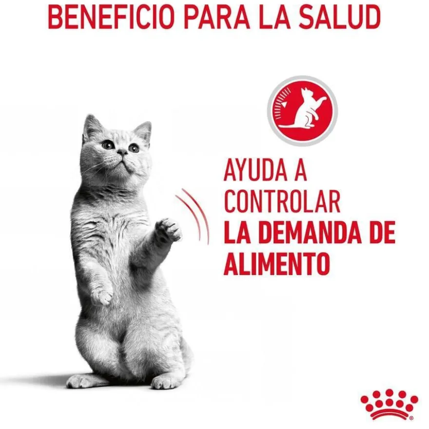 Royal Canin Appetite Control Care molho saqueta para gatos