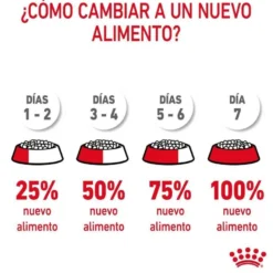 Royal Canin Appetite Control Care ração para gatos