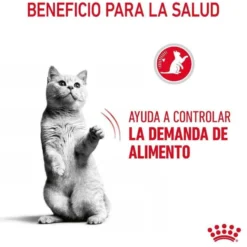 Royal Canin Appetite Control Care ração para gatos