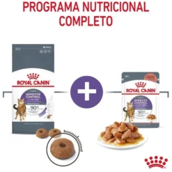 Royal Canin Appetite Control Care ração para gatos