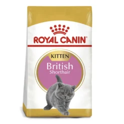 Royal Canin British Shorthair Kitten Ração para gatos