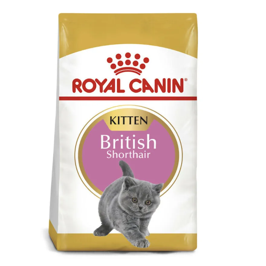 Royal Canin British Shorthair Kitten Ração para gatos