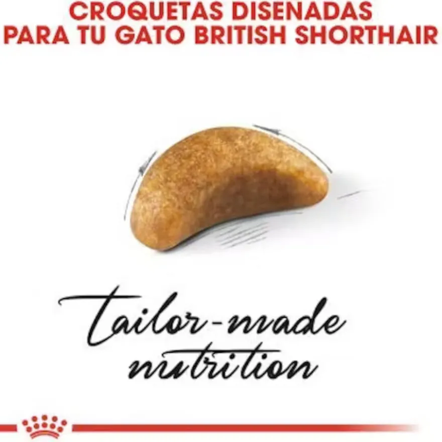 Royal Canin British Shorthair Kitten Ração para gatos