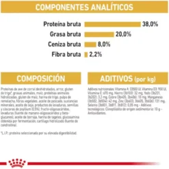 Royal Canin British Shorthair Kitten Ração para gatos