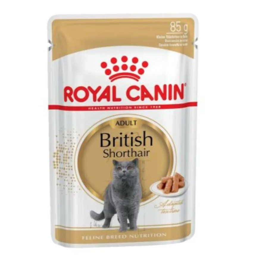 Royal Canin comida húmida British Shorthair Adult