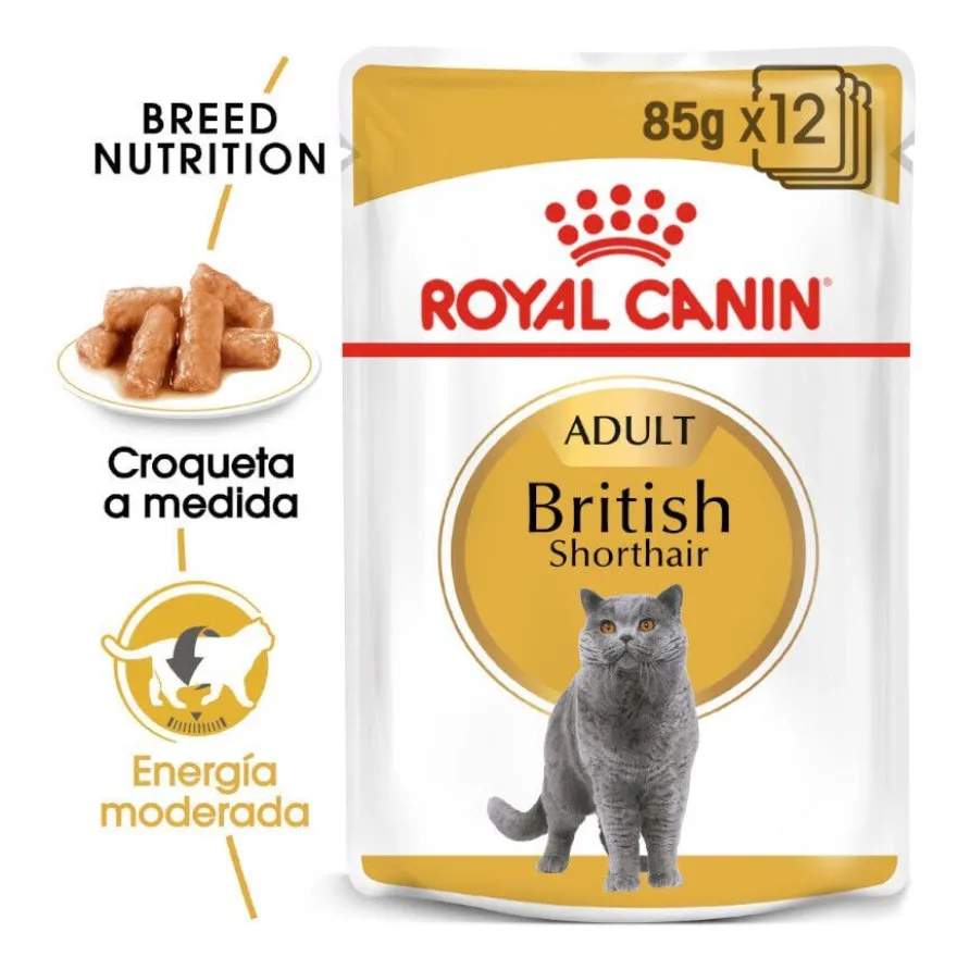 Royal Canin comida húmida British Shorthair Adult