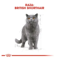 Royal Canin comida húmida British Shorthair Adult