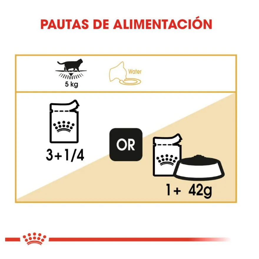 Royal Canin comida húmida British Shorthair Adult