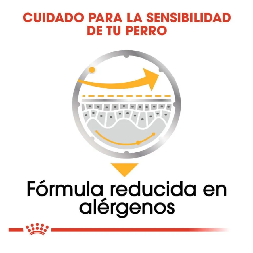 Royal Canin Dermacomfort Saquetas Patê para cães