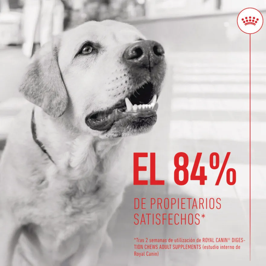 Royal Canin Digestion Chews Suplemento Nutricional para cães com sensibilidade