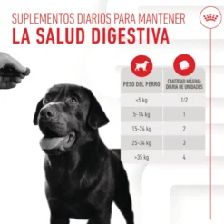 Royal Canin Digestion Chews Suplemento Nutricional para cães com sensibilidade