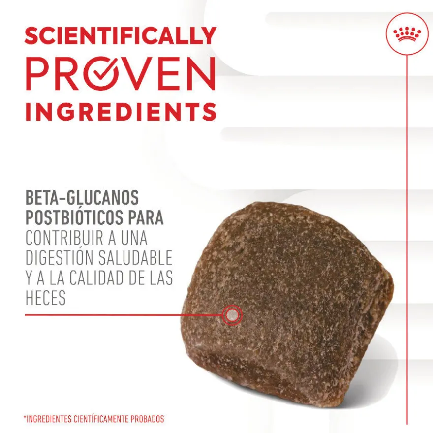 Royal Canin Digestion Chews Suplemento Nutricional para cães com sensibilidade
