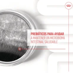 Royal Canin Digestion Chews Suplemento Nutricional para cães com sensibilidade