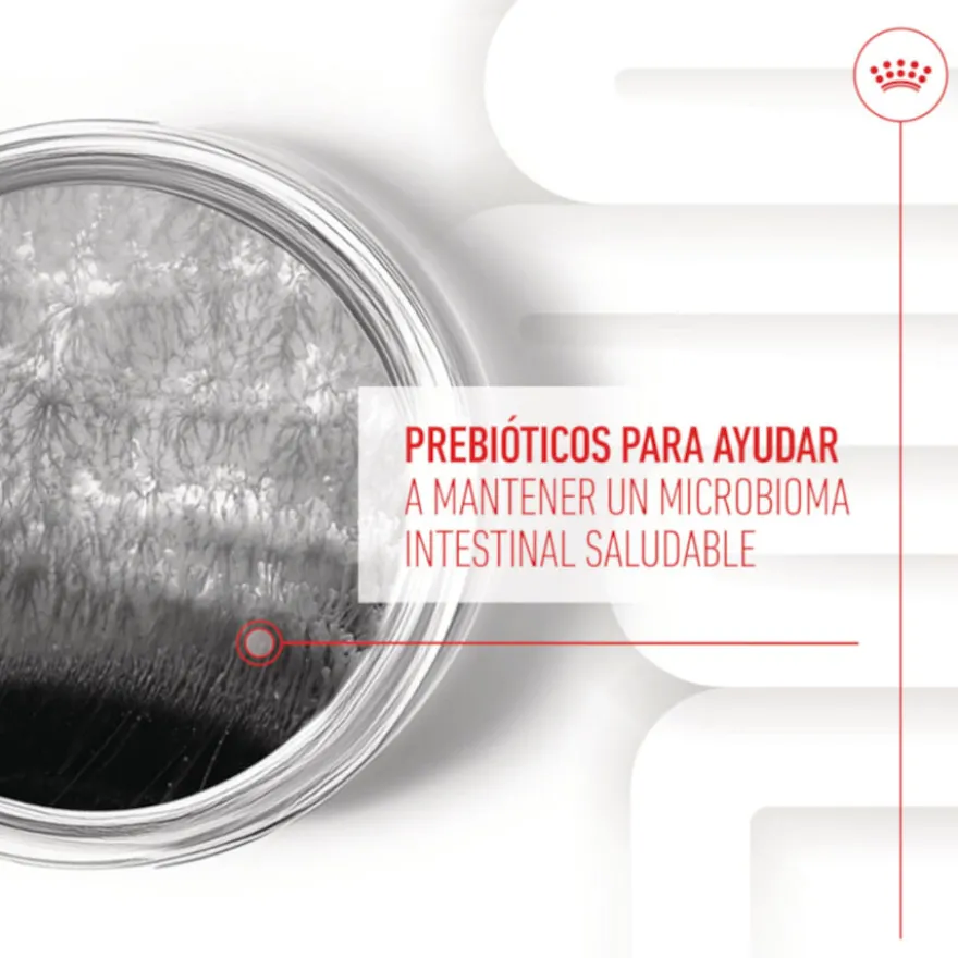 Royal Canin Digestion Chews Suplemento Nutricional para cães com sensibilidade