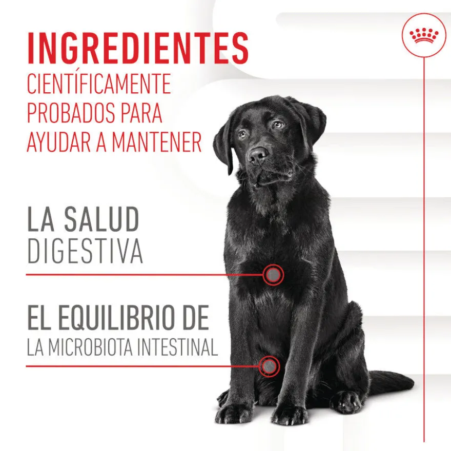Royal Canin Digestion Chews Suplemento Nutricional para cães com sensibilidade