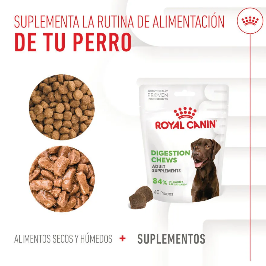 Royal Canin Digestion Chews Suplemento Nutricional para cães com sensibilidade