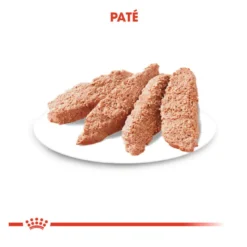 Royal Canin Digestive Care Patê em saquetas para cães