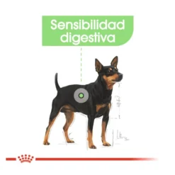 Royal Canin Digestive Care Patê em saquetas para cães