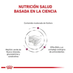 Royal Canin Early Renal ração para gatos