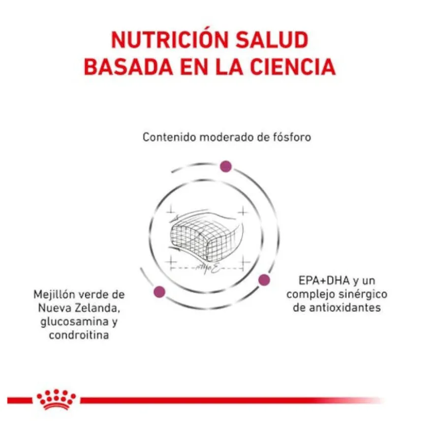 Royal Canin Early Renal ração para gatos