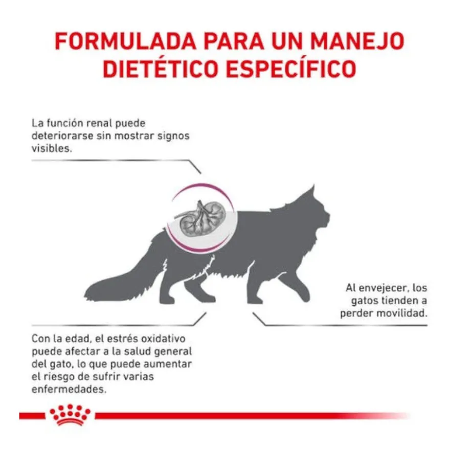 Royal Canin Early Renal ração para gatos