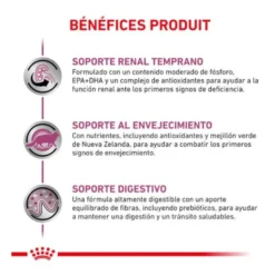 Royal Canin Early Renal ração para gatos