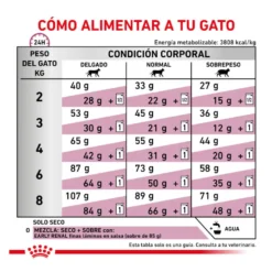 Royal Canin Early Renal ração para gatos