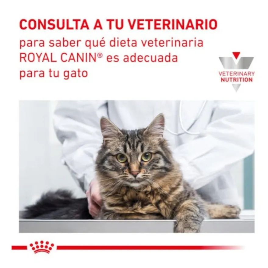 Royal Canin Early Renal ração para gatos