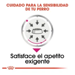 Royal Canin Exigent Comida húmida em saqueta para cães