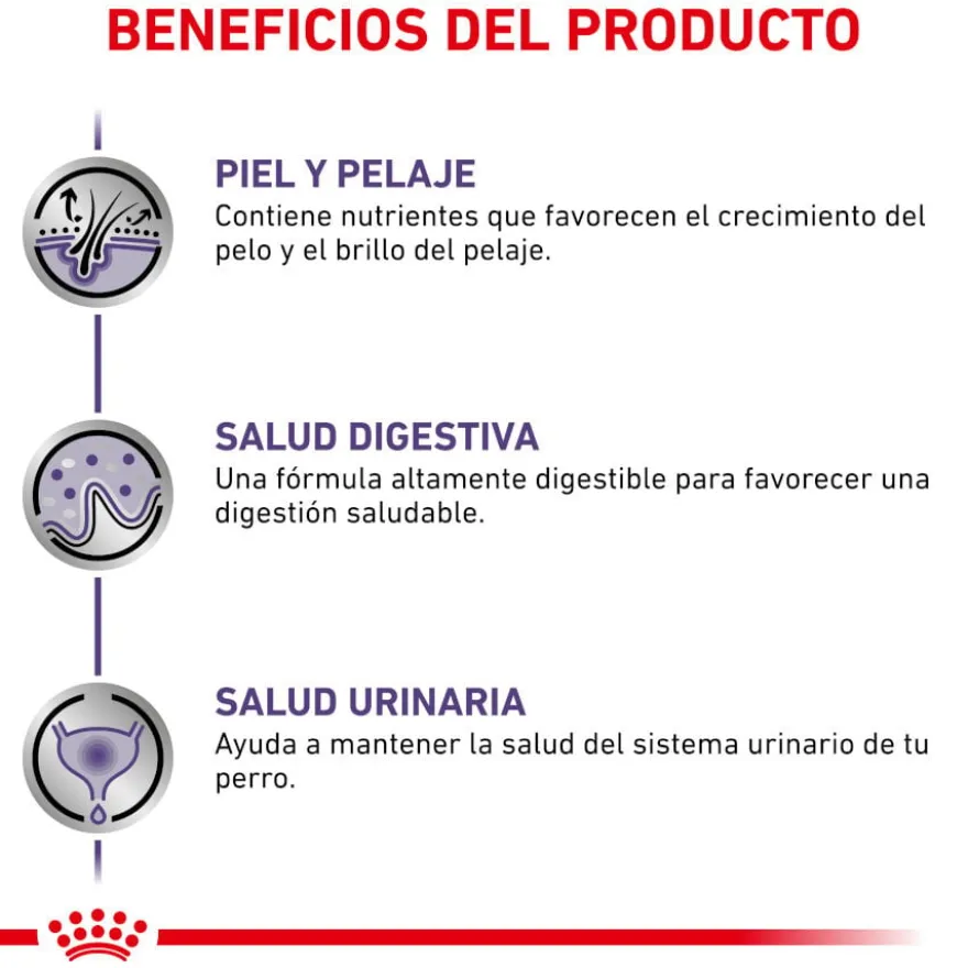 Royal Canin Expert Adult Comida húmida em molho em saqueta para cães