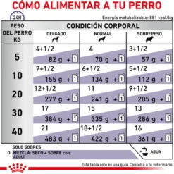 Royal Canin Expert Adult Comida húmida em molho em saqueta para cães