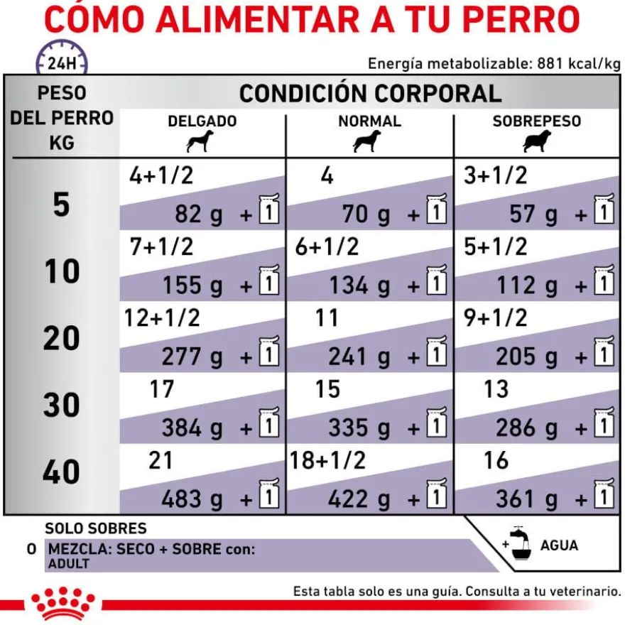 Royal Canin Expert Adult Comida húmida em molho em saqueta para cães