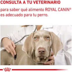 Royal Canin Expert Adult Saqueta em Molho para cães