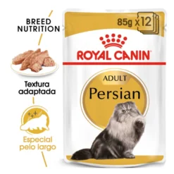Royal Canin Feline Adult Persa