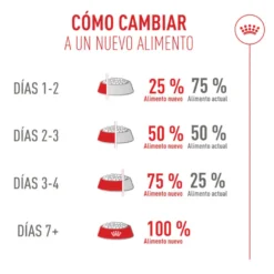 Royal Canin Fussy Exigent Ração para gatos
