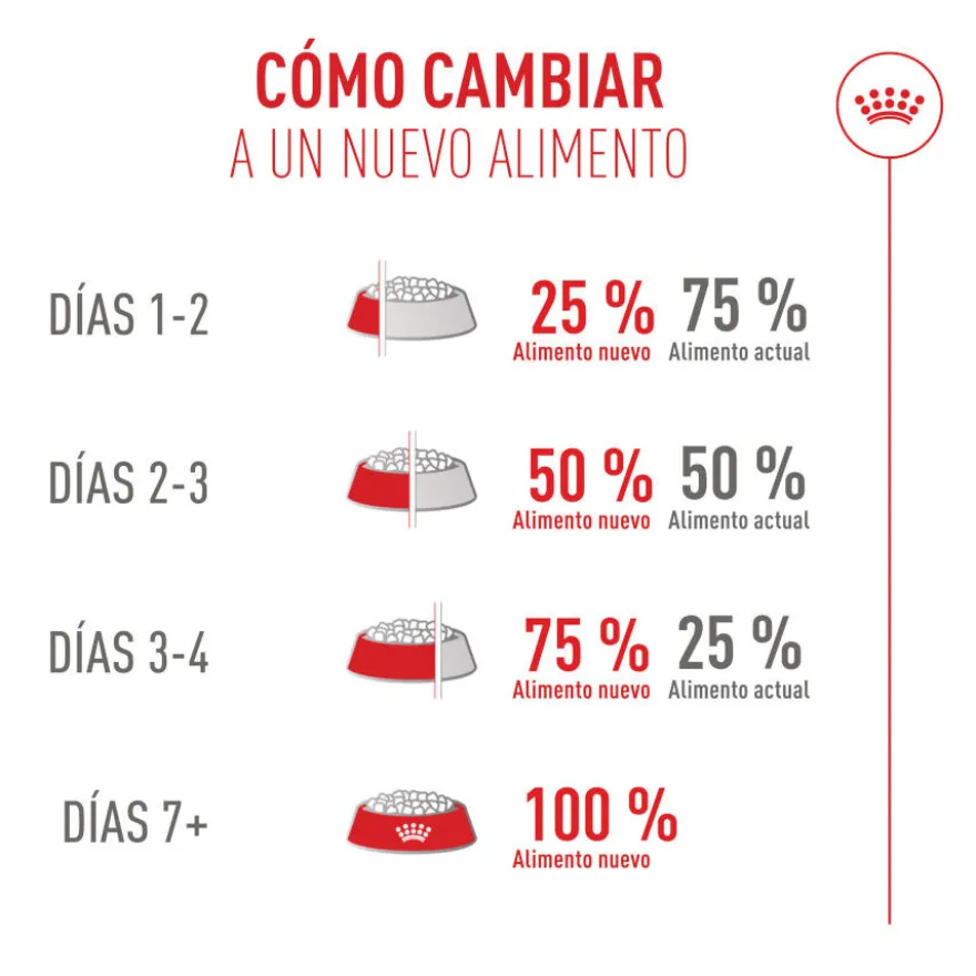 Royal Canin Fussy Exigent Ração para gatos