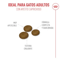 Royal Canin Fussy Exigent Ração para gatos