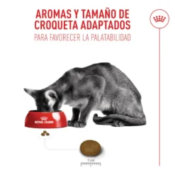 Royal Canin Fussy Exigent Ração para gatos