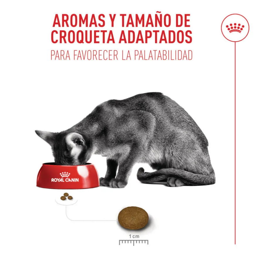 Royal Canin Fussy Exigent Ração para gatos