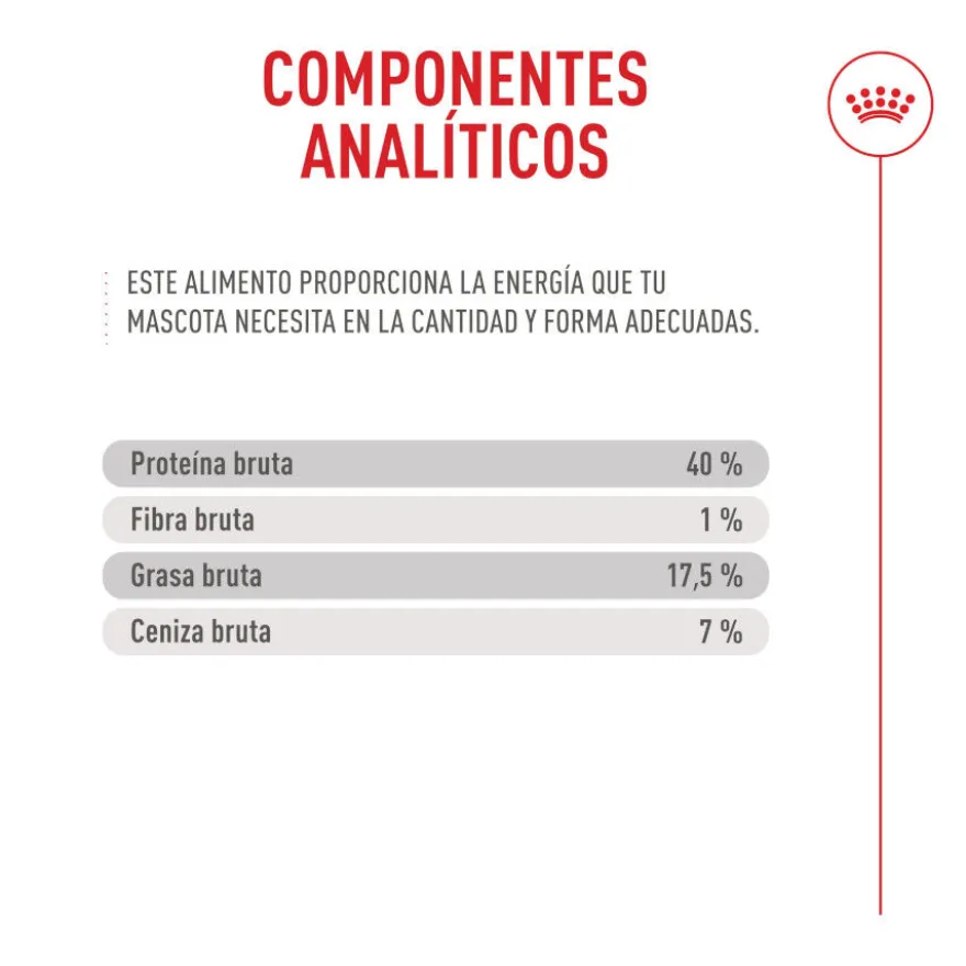 Royal Canin Fussy Exigent Ração para gatos