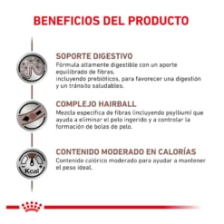 Royal Canin Gastrointestinal Hairball ração para gatos