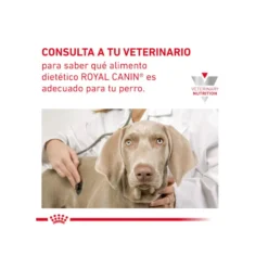 Royal Canin GastroIntestinal Low Fat Ração para cães pequenos