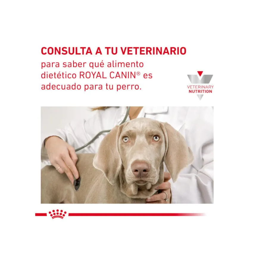 Royal Canin GastroIntestinal Low Fat Ração para cães pequenos