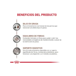 Royal Canin GastroIntestinal Low Fat Ração para cães pequenos