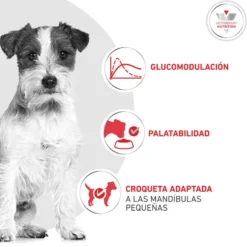 Royal Canin Glycobalance Ração para cães