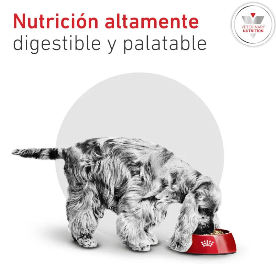 Royal Canin Glycobalance Ração para cães