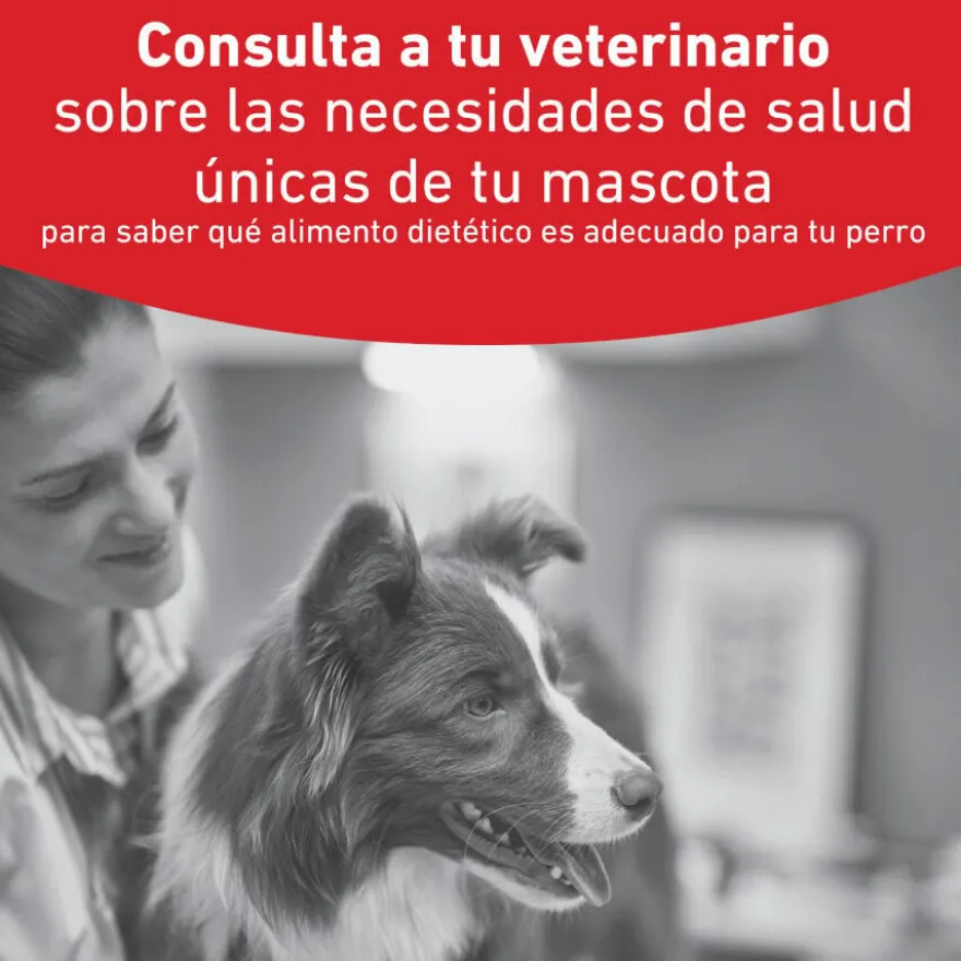 Royal Canin Glycobalance Ração para cães
